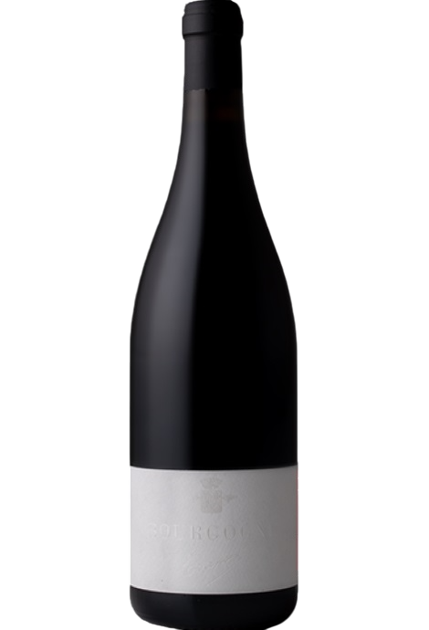 TRAPET BOURGOGNE PINOT NOIR 2022