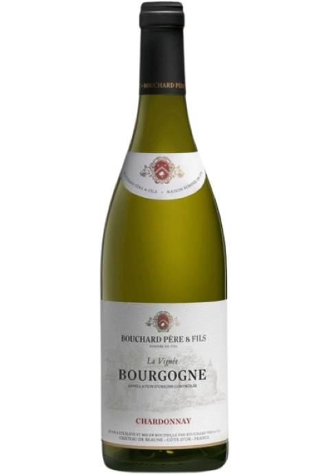 BOUCHARD PERE & FILS BOURGOGNE CHARDONNAY 2021