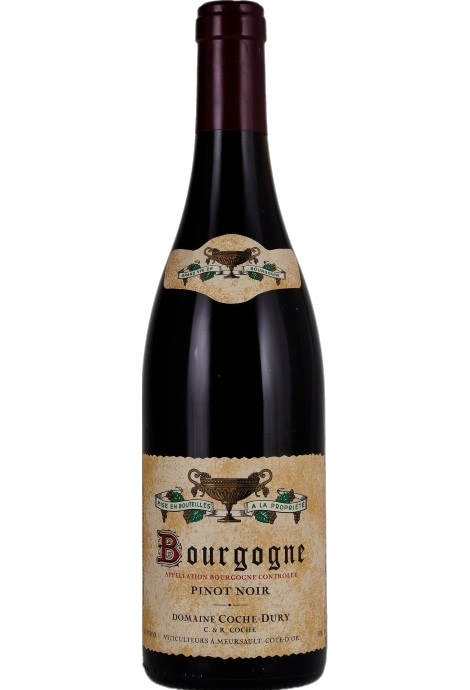 COCHE DURY BOURGOGNE ROUGE 2009